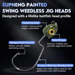 BTI-08B-429 Painted Fish Eye Swimbait Jig Heads