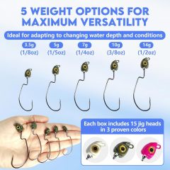 BTI-08B-429 Painted Fish Eye Swimbait Jig Heads