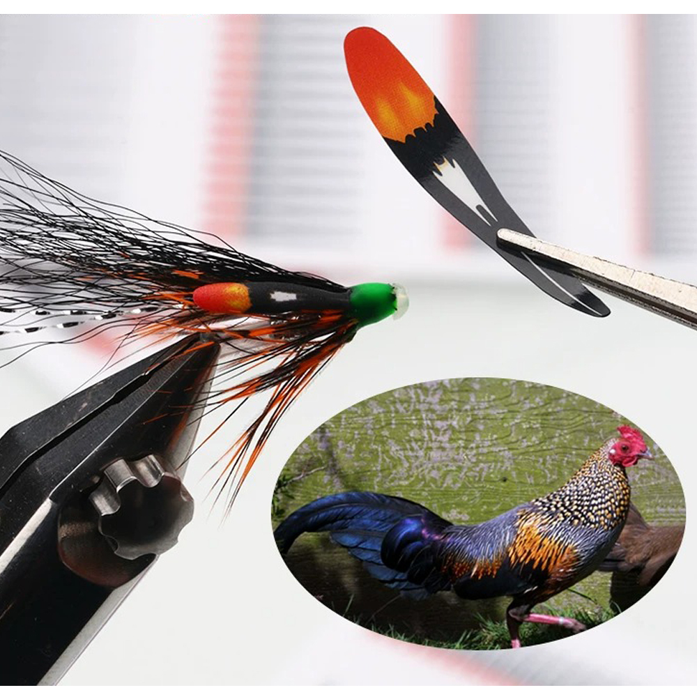 BTI-09D-5021 Jungle Cock Substitute