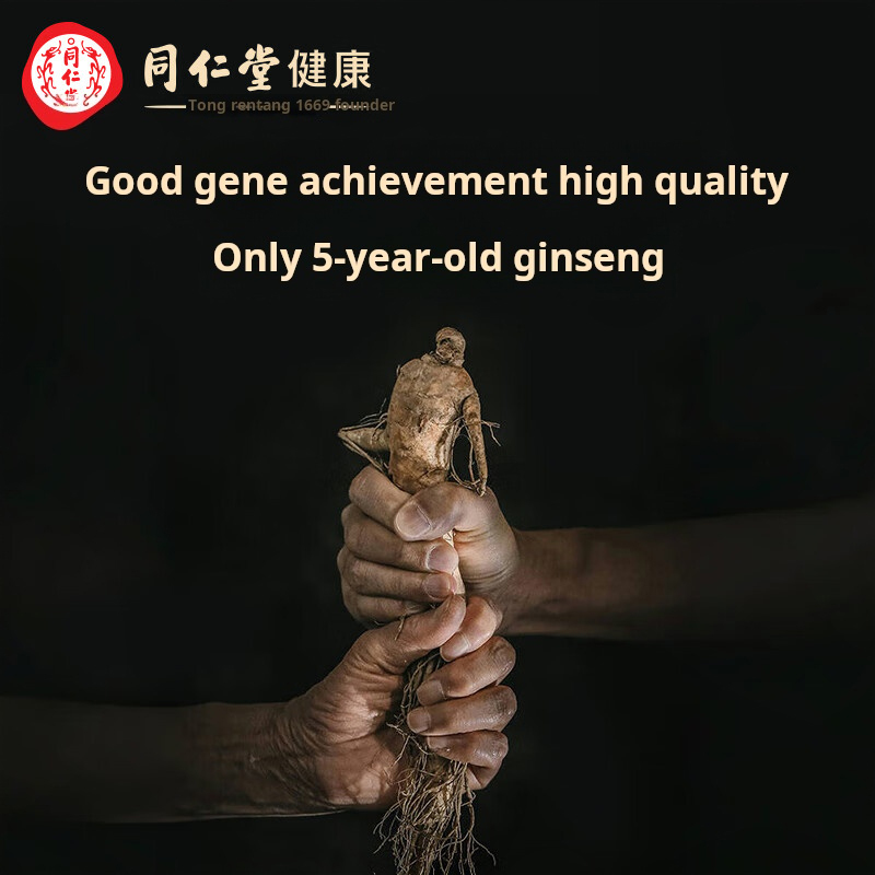 Drug-[Beijing Tongrentang] Qingyuantang Xiyang Ginseng Tablets 100g/bottle is used to improve immunity, lower blood pressure and blood lipid.