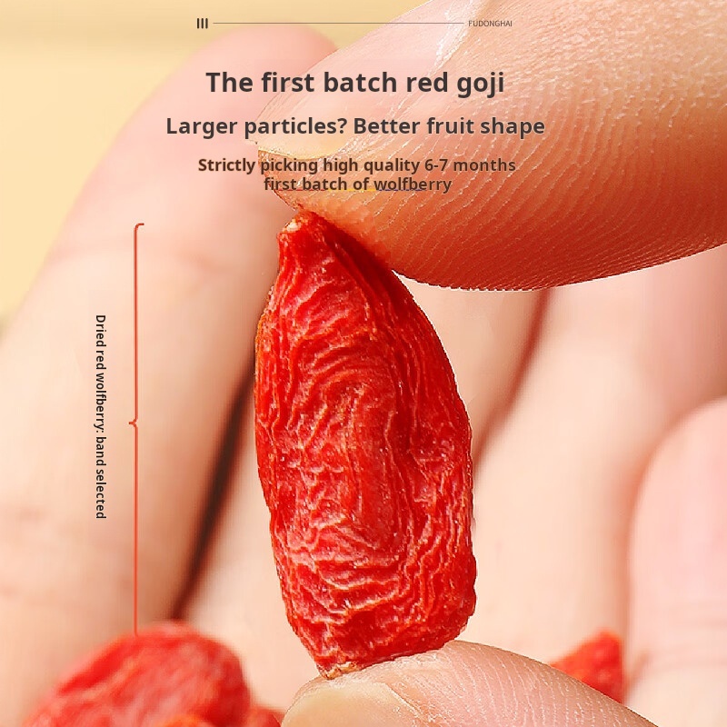 Drug-[Fudonghai] Ningxia Red Lycium Barbarum Canned 500g for Tonifying Liver and Kidney, Mingmu and Tonifying Essence and Blood