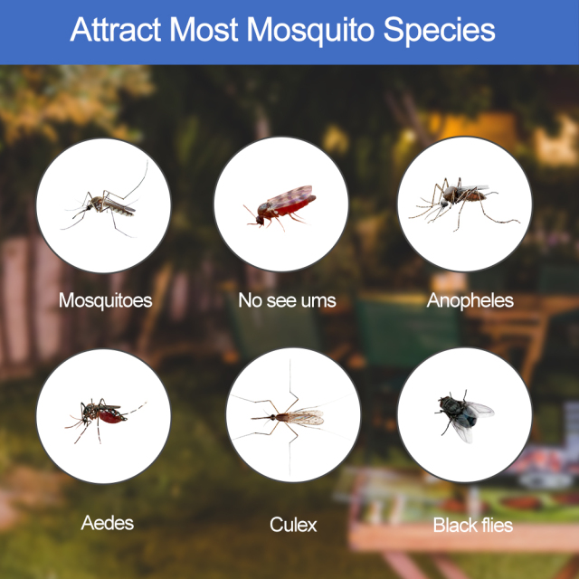 O1 - Mosquito Repellent
