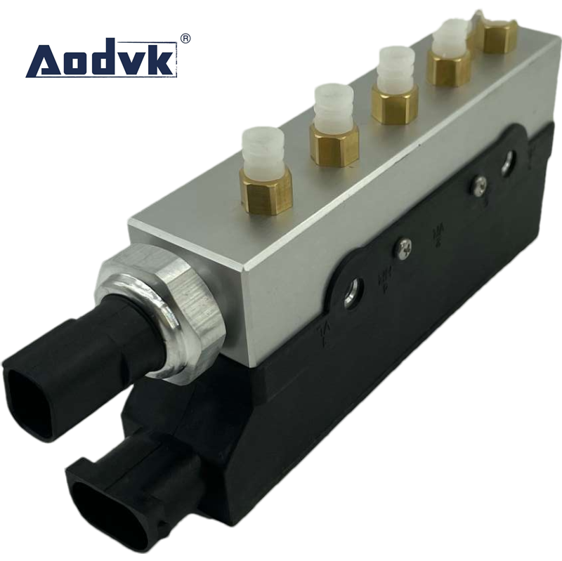 Valve Block Air Suspension Parts Air Compressor Repair Kits For Mercedes Benz W220 2203200258
