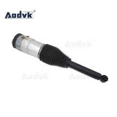 Air Suspension Repair Kits For Tesla Model S Rear Air Suspension Strut 106646600D