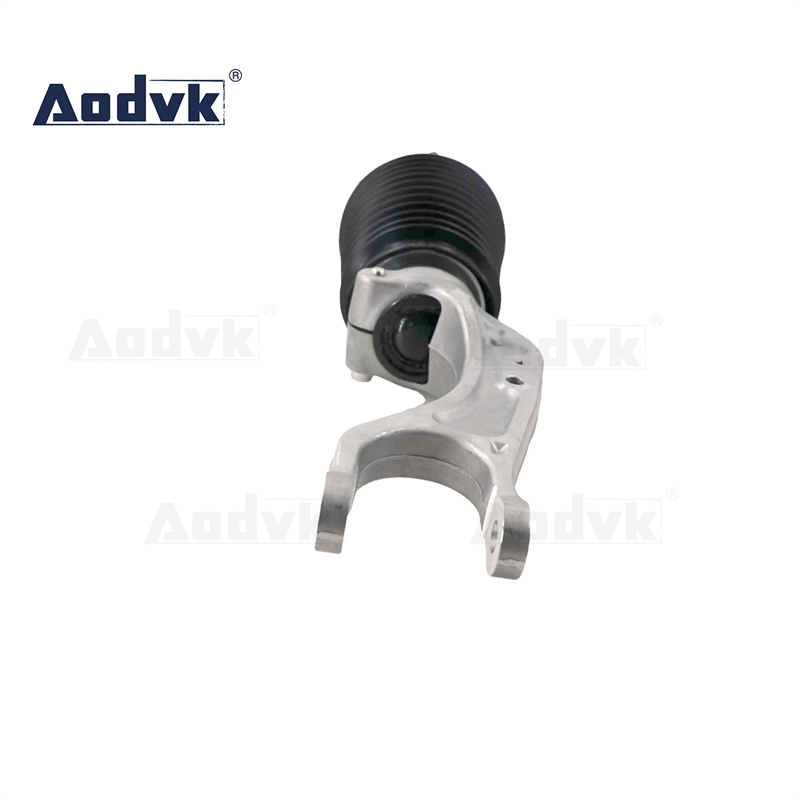 Front Air Suspension Absorber Kit For Tesla X 6006353-00-C 1027361-00-G 1030608-01-A