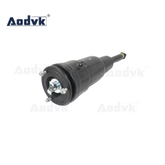 Air Strut Suspension For Lexus LS460 48090-50211 48080-50211 Rear Air Spring Shock Absorber