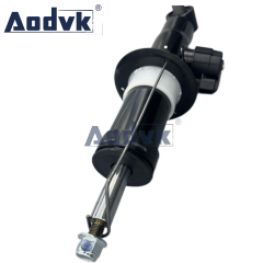 Rear Shock Absorber For Bmw X5 G05