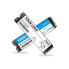 M.2 PCle SSD (Customizable)