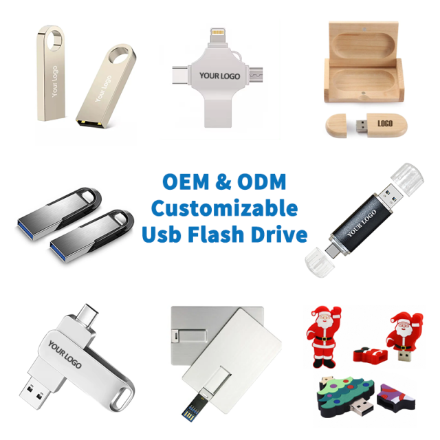 OEM ODM Customizable USB Flash Disk