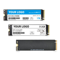 M.2 PCle SSD (Customizable)