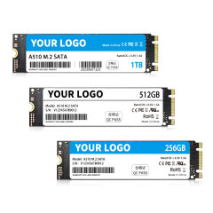 M.2 SATA NGFF SSD (Customizable)