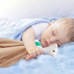 Security Blanket Soft Loveys for Babies for Boys and Girls