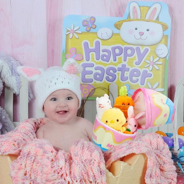 5 Pcs Easter Theme Egg Basket Stuffed Bunny Chick Carrot Alpaca Plush Playset