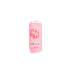 Soda Bottle Pet Plush Toy with Squeaky