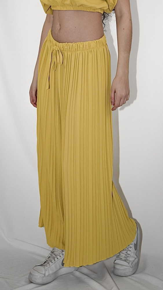 Pantaloni Pleats