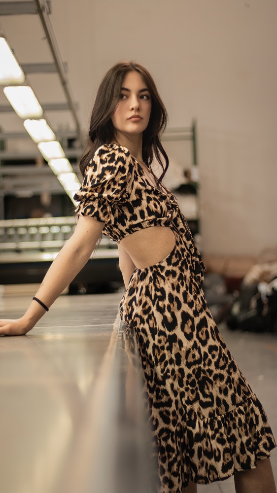 Leopard Print Fantasy Hollow out Dress