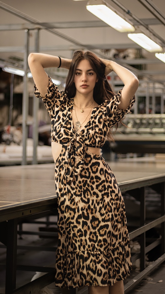 Leopard Print Fantasy Hollow out Dress