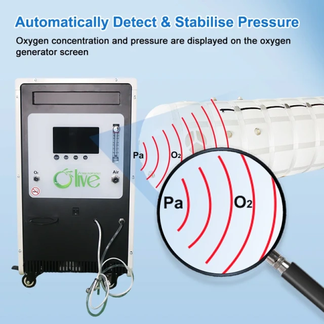 Cámara hiperbárica de las cámaras de Multiplace del uso de 2 personas que coloca la cámara hiperbárica para curar