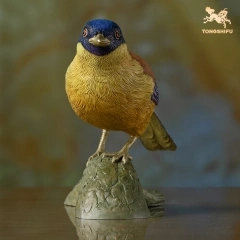 BLUE-CROWNED LAUGHINGTHRUSH