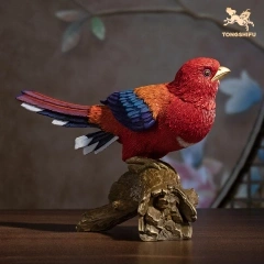 RED-HEADED TROGON