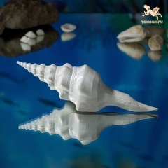 CONCH A