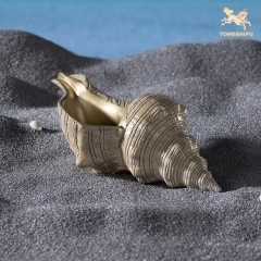 CONCH C