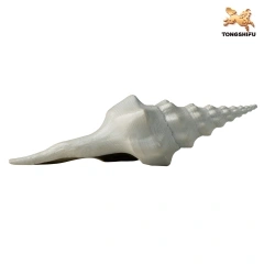 CONCH A