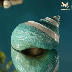 CONCH B