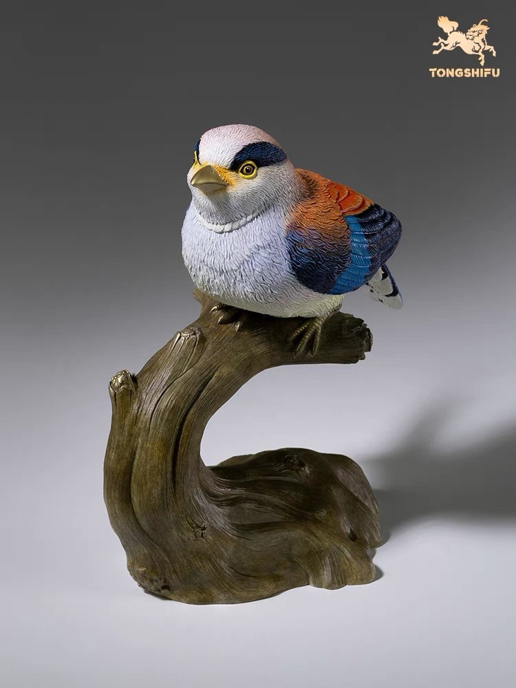 SILVER-BREASTED SILKBIRD