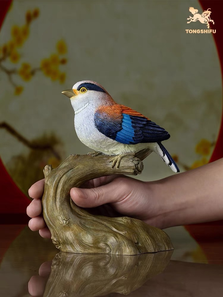 SILVER-BREASTED SILKBIRD