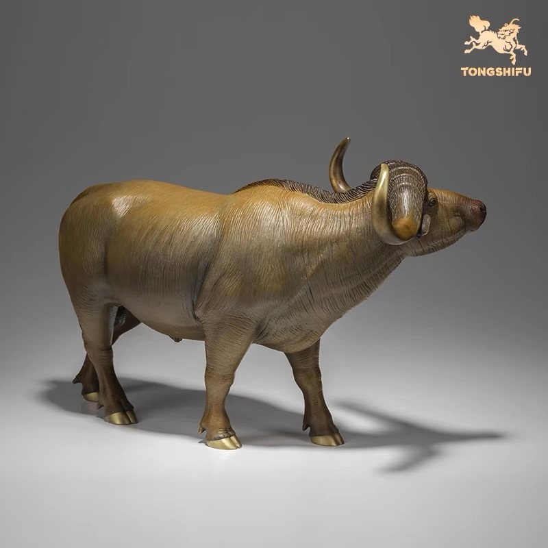 AFRICAN WATER BUFFALO