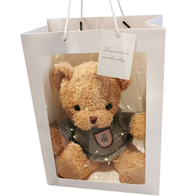 1.Sweater Bear doll Teddy Bear plush toy birthday gift