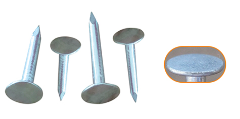 Ceiling Nails(Cupper Nails)