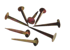Colourful Shoe Tack Nais