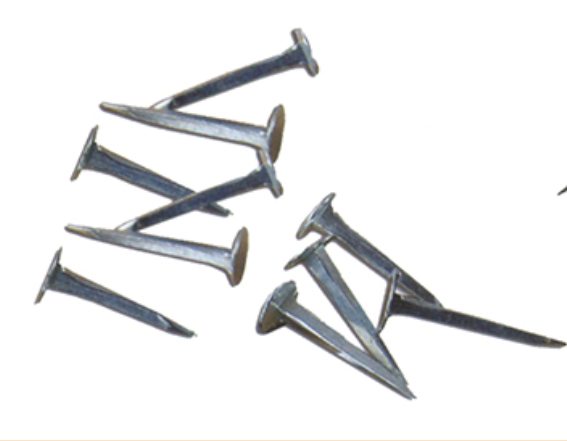 Galvanized Shoe Tack Nails