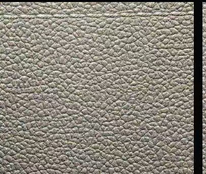 Leather grain sample SL-20230621
