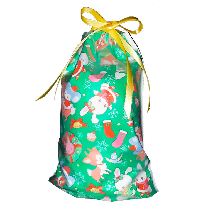 Biodegradable Christmas Drawstring Gift Bag