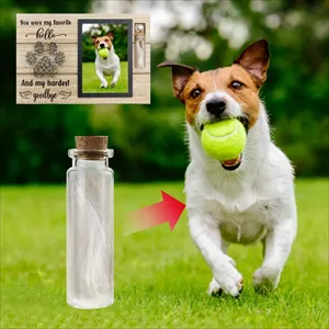 Pet Memorial Frame