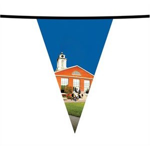 60'' PVC Triangular Pennant String