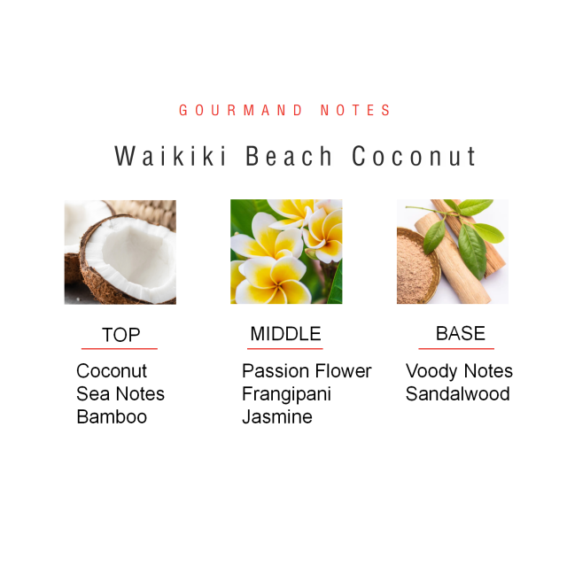 Waikiki Beach Coconut