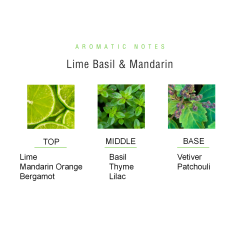 Lime Basil & Mandarin