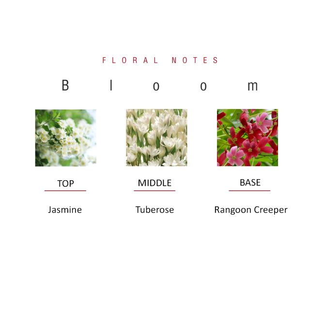 Bloom