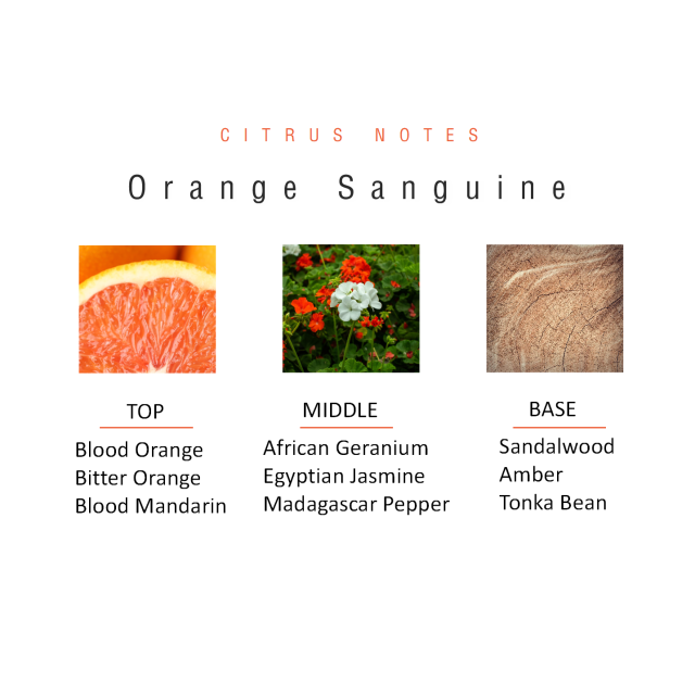 Orange Sanguine
