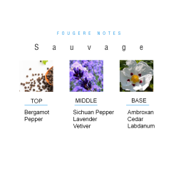 Sauvage