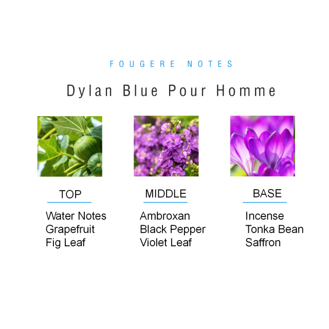 Dylan Blue Pour Homme