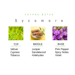 Sycomore