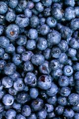 Blueberries & Raspberries
