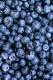 Blueberries & Raspberries