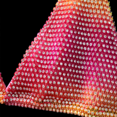 Crystal Plastic Net Triangle Bikini Swimwear Manufacturer