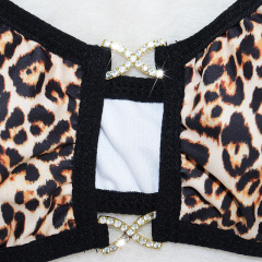 Leopard Print Thong Bikini Set for Stripper Pole Wear Custom